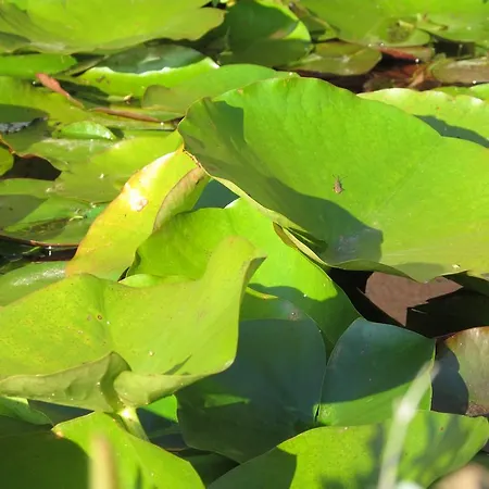 게스트하우스 Panorama