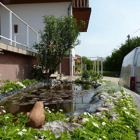 Panorama Guest house