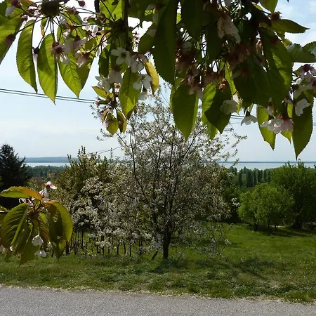 Гостевой дом Panorama *