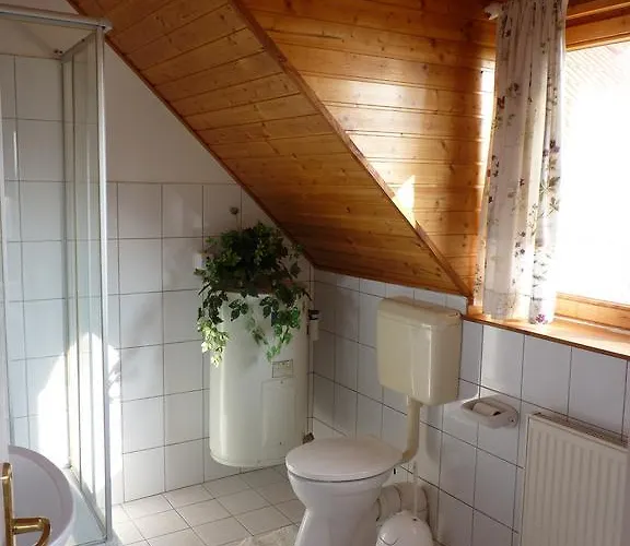 Panorama בית הארחה גיינסדיאס