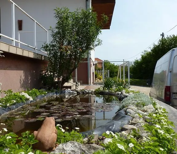 Panorama בית הארחה