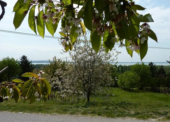 בית הארחה Panorama *