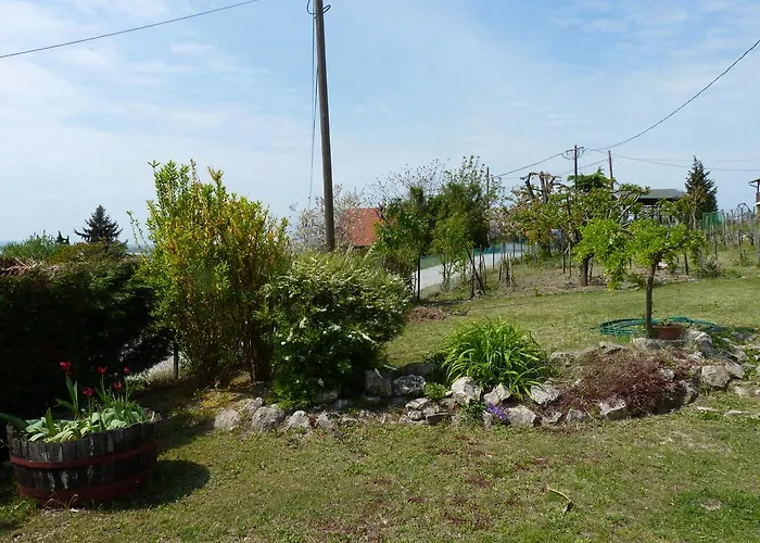 Panorama בית הארחה גיינסדיאס