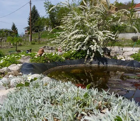 בית הארחה Panorama *